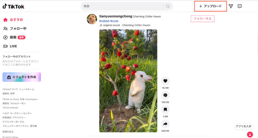 PCでTikTokを見る方法